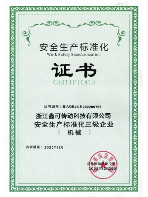 20221229效期2025年12月安標(biāo)化三級(jí)證書(shū)